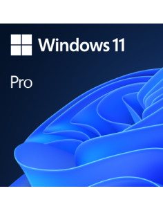 Windows 11 Pro 1 licencia(s)